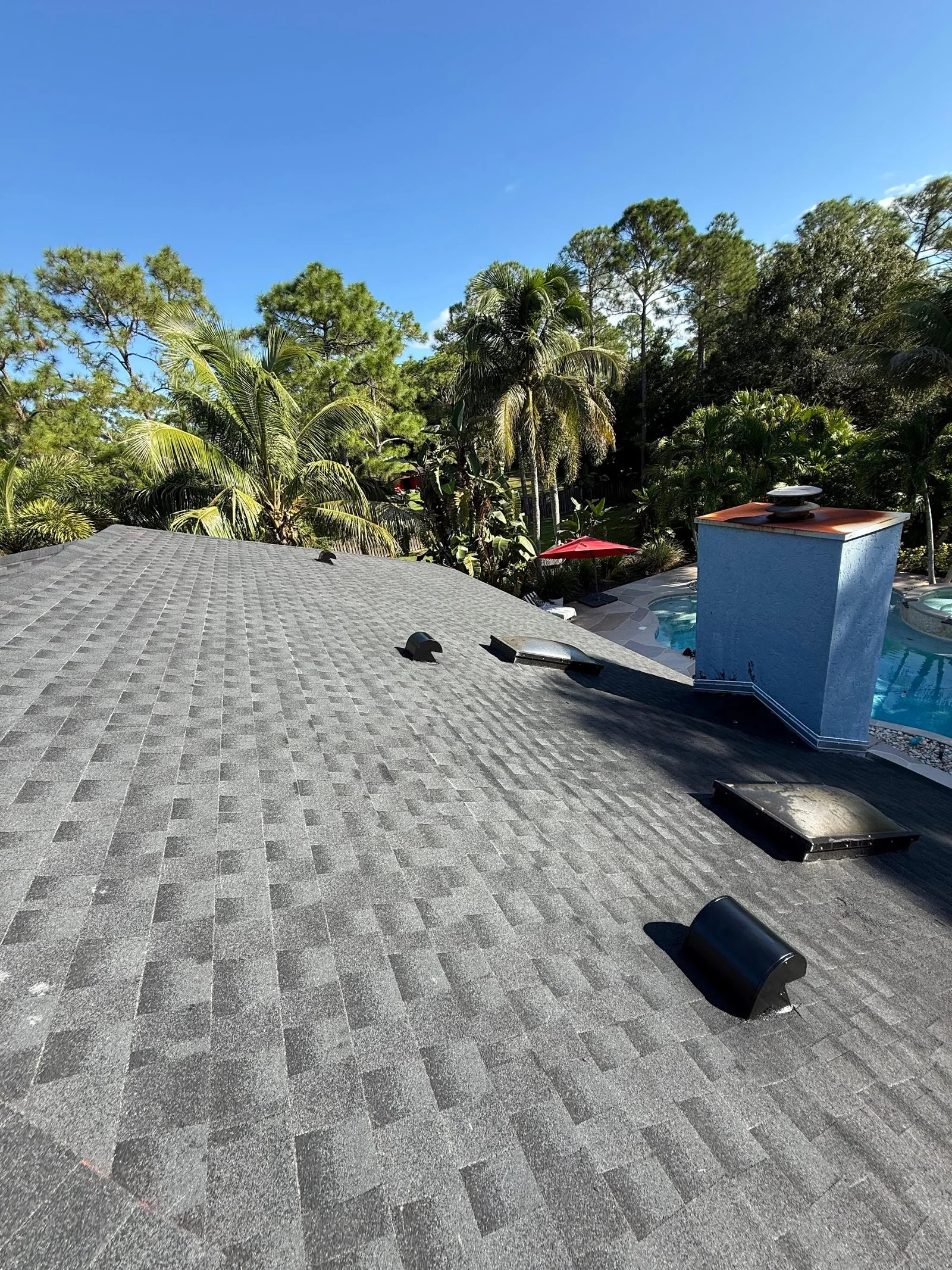 Shingle roof replacement with pool view in Broward County FL by Qualitech Roofing
